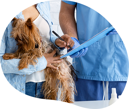 Seguro para Pets RJ Valle